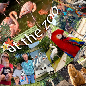 At The Zoo Copy
