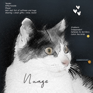 Nuage
