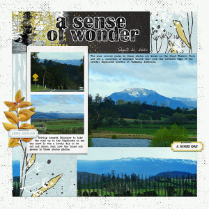 A SENSE OF WONDER