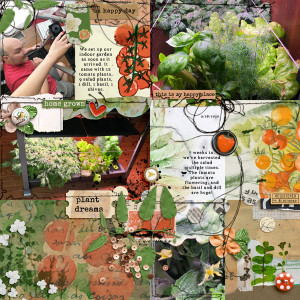 Indoor Garden