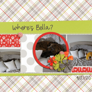 Where's Bella