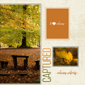 Autumn Colors