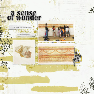 A sense of wonder