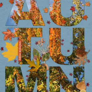 09slowscrap-autumn