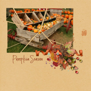 Pumpkin Season
