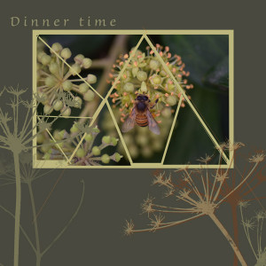 Slow-scrap-dinner-time