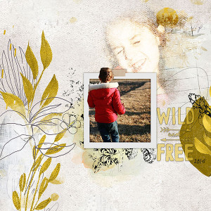 Wild and Free