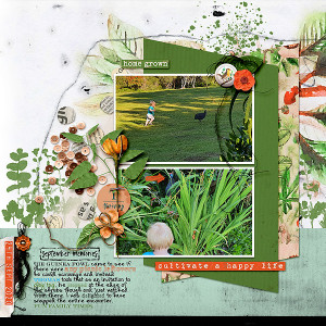 HappyLife