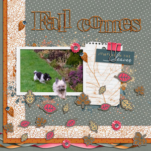 Fall Comes