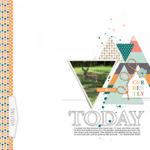 Tdp Slow Scrap