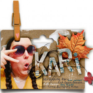 Fallsiggy