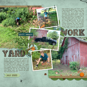 Yard Work at Gma's
