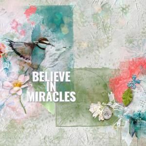 Believe In Miracles