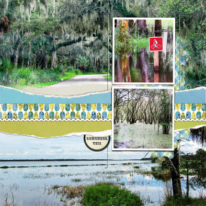 Flooded Myakka River State Park_right side