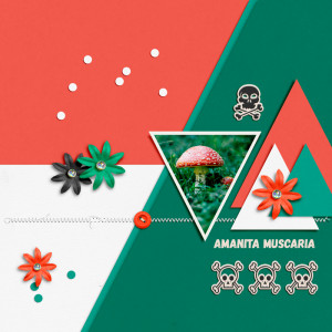 DSD Template Slow Scrap