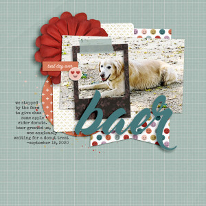 Scrapping-with-Liz_2020-10_October-MIS_web