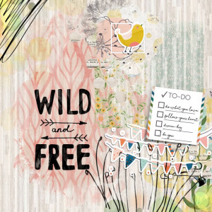 Wild N Free - NBK DSD Challenge - FF 10/03