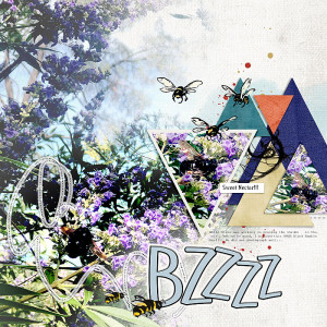 2020-Bumble-Bee--Slow-scrap-Oct-2