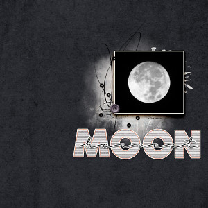 Harvest Moon