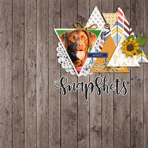 DSD Template Slow Scrap