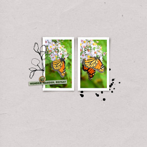 DSD 2020 Slow Scrap Recipe