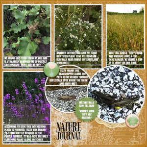 Nature Journal - DSD Slow Scrap Recipe