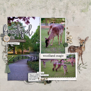 Woodland Magic