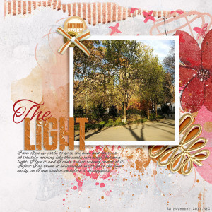 AJ Monthly Muse: October 2020 Week 1: Autumn Light