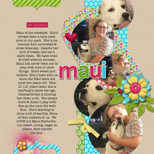 2020_07_28_Maui the LuvPup