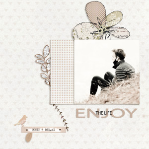 Enjoy the life