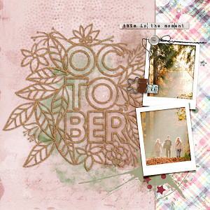 20-10_lbw_template-challenge-copy