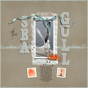 The Sea Gull