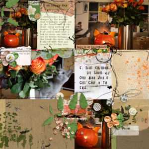 201009_cat Pumpkin