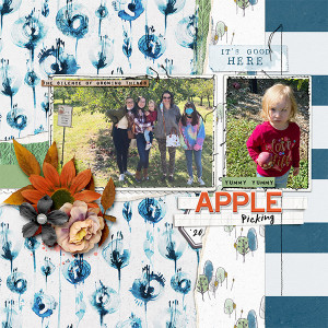 Apple Picking 20