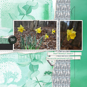 Early bloomers