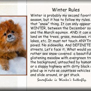 Winter-Rules