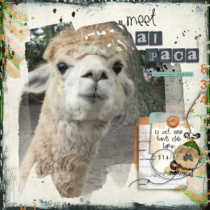 Meet Al