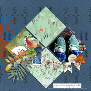 Lynn-Grieveson_2020-10-October_SOSN_1014_Forestier_Diamnd-Days_Happy-Home_web