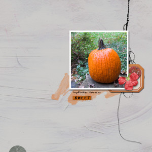 2020-10_October-TLP_Speed-Scrap_1013_web