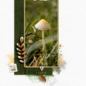 Mushroom