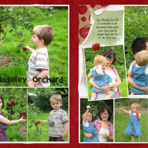 Apples (2 pager)
