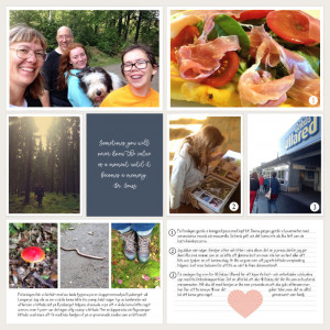 Week 37 b, 2017
