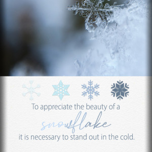 ATC-2020-142-Winter