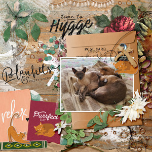 Kitty hygge