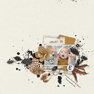 Oct2020_ScrapliftChall_flowersgal_webjpg