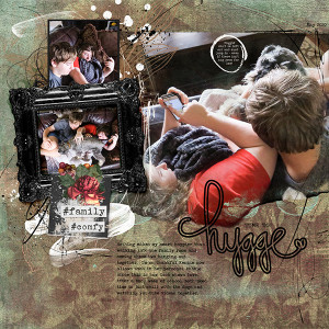 Robin_Hygge-600