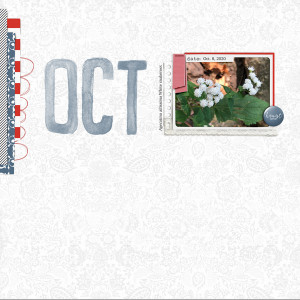 Template Challenge October