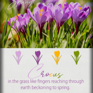 ATC-2020-144-Spring