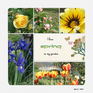 Love Spring in my Garden