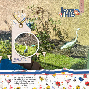 Mama and Baby Great White Egret